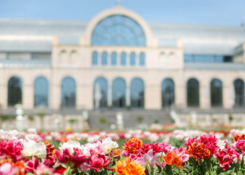 Flora Köln_Blickwinkel Fotografie