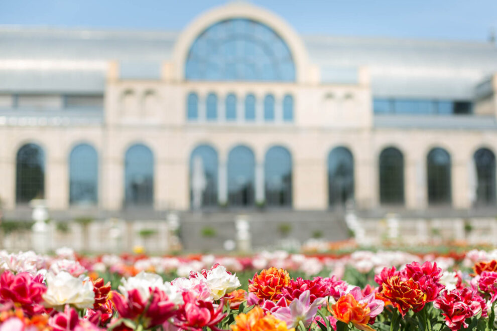 Flora Köln_Blickwinkel Fotografie
